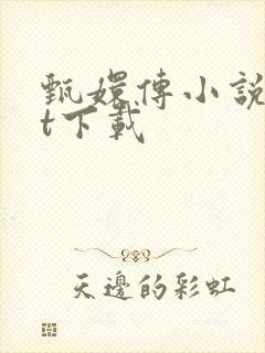 甄嬛传小说txt下载