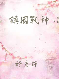 镇国战神 小说