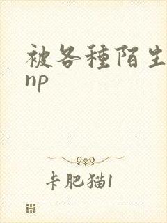 被各种陌生人 np