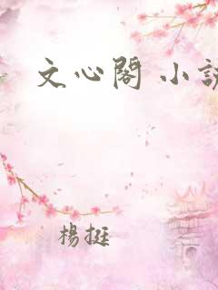 文心阁 小说