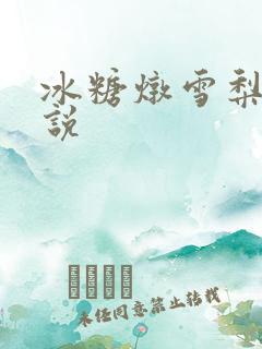 冰糖炖雪梨 小说