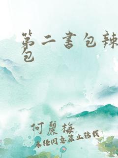 第二书包辣荷花包