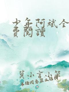 少年阿斌全文免费阅读