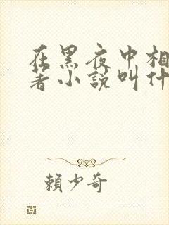 在黑夜中相拥原著小说叫什么