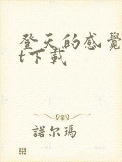 登天的感觉txt下载