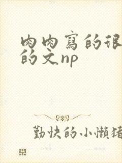 肉肉写的很细致的文np