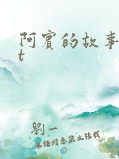 阿宾的故事txt