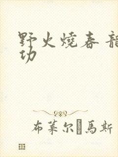 野火烧春 龙鸣功