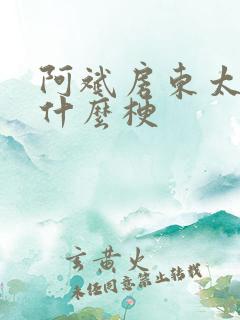 阿斌房东太太是什么梗