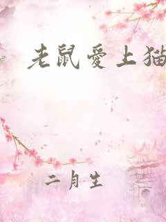 老鼠爱上猫下载