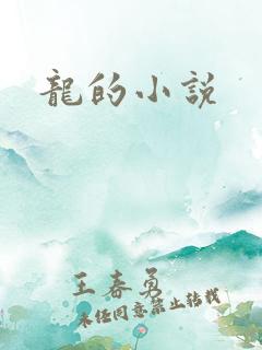 龙的小说
