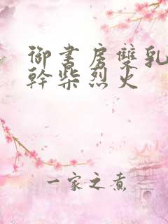 御书房双乳晃动干柴烈火