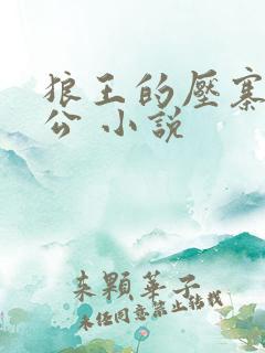 狼王的压寨小相公 小说