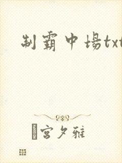 制霸中场txt
