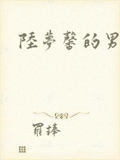 陆梦馨的男朋友