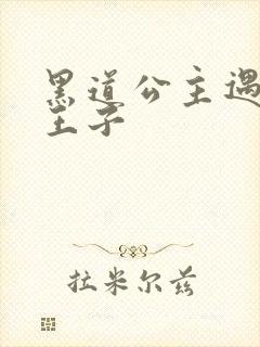 黑道公主遇冷酷王子