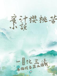 蜜汁樱桃苦咖啡小说