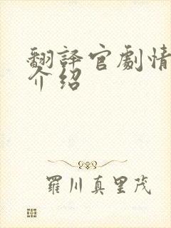 翻译官剧情分集介绍