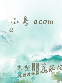 小鸟 acome
