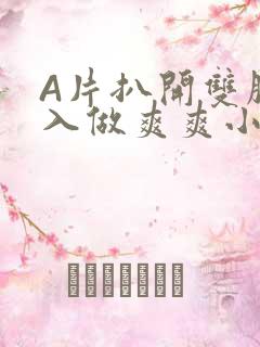 A片扒开双腿进入做爽爽小说