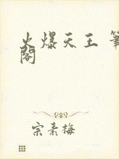 火爆天王 笔趣阁