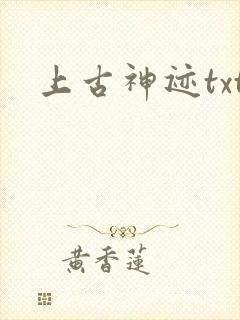 上古神迹txt