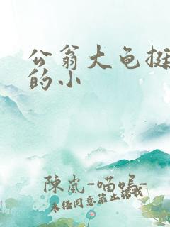 公翁大龟挺进我的小