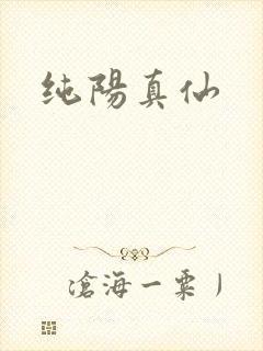 纯阳真仙