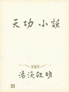 天功 小说