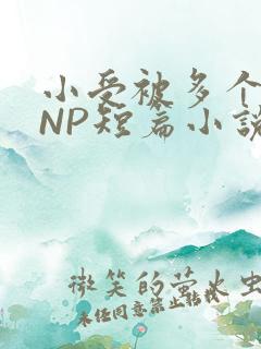 小受被多个攻强NP短篇小说