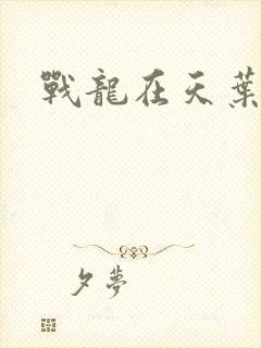 战龙在天叶凡
