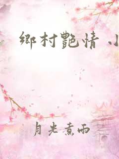 乡村艳情 小说