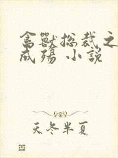 禽兽总裁之虐爱成殇 小说