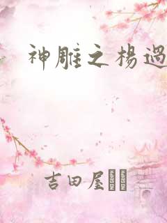 神雕之杨过新传