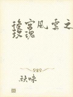 后宫风云之铿锵玫瑰