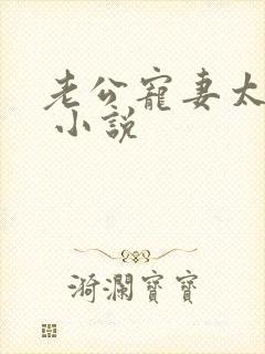 老公宠妻太甜蜜 小说