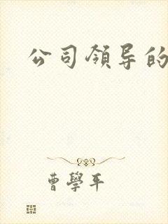 公司领导的老婆