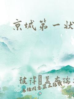 京城第一状师