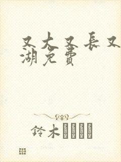 又大又长又租高湖免费