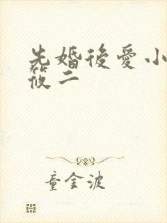 先婚后爱小说梦筱二