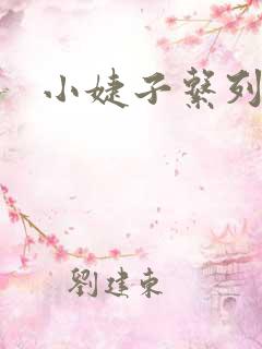 小婕子系列小说