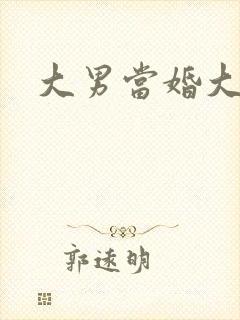 大男当婚大结局