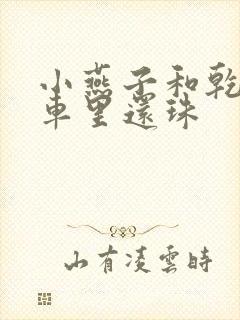 小燕子和乾隆在车里还珠