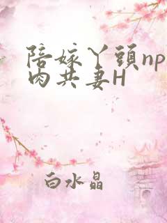 陪嫁丫头np全肉共妻H