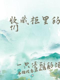 收藏柜里的男人们