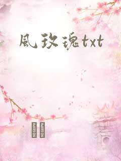 风玫瑰txt