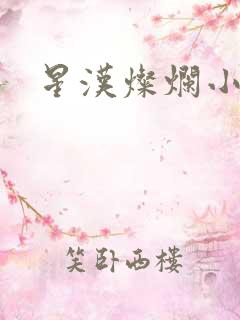 星汉灿烂小说