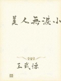 美人无泪小说