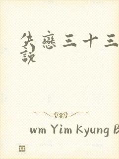 失恋三十三天小说