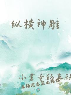 纵横神雕